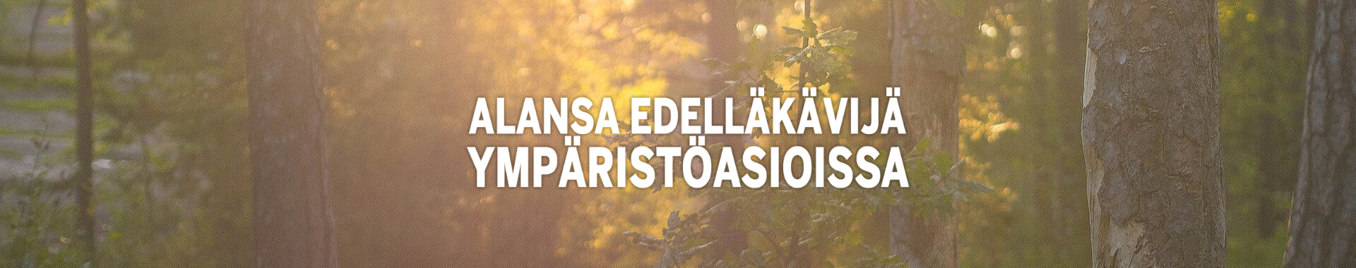 Banneriehdotuksia (10)+.png